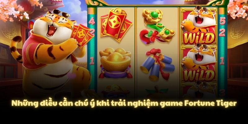 Những điều cần chú ý khi trải nghiệm game Fortune Tiger