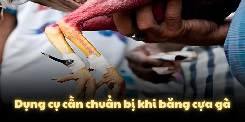 Dụng cụ cần chuẩn bị khi băng cựa gà