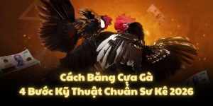 Cách Băng Cựa Gà: 4 Bước Kỹ Thuật Chuẩn Sư Kê 2026