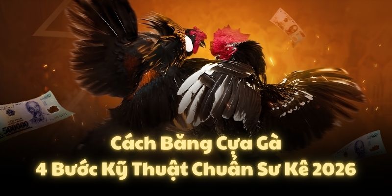 Cách Băng Cựa Gà: 4 Bước Kỹ Thuật Chuẩn Sư Kê 2026