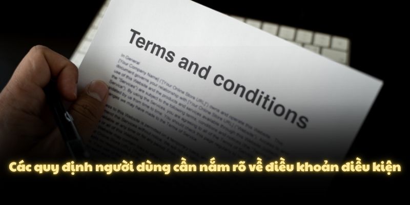 Các quy định người dùng cần nắm rõ về điều khoản điều kiện