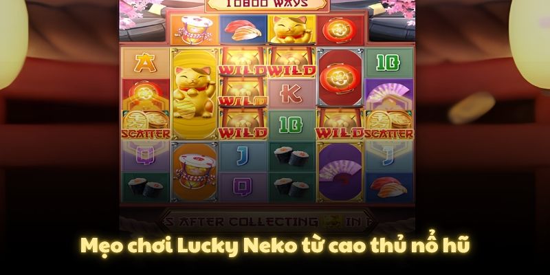 Mẹo chơi Lucky Neko từ cao thủ nổ hũ